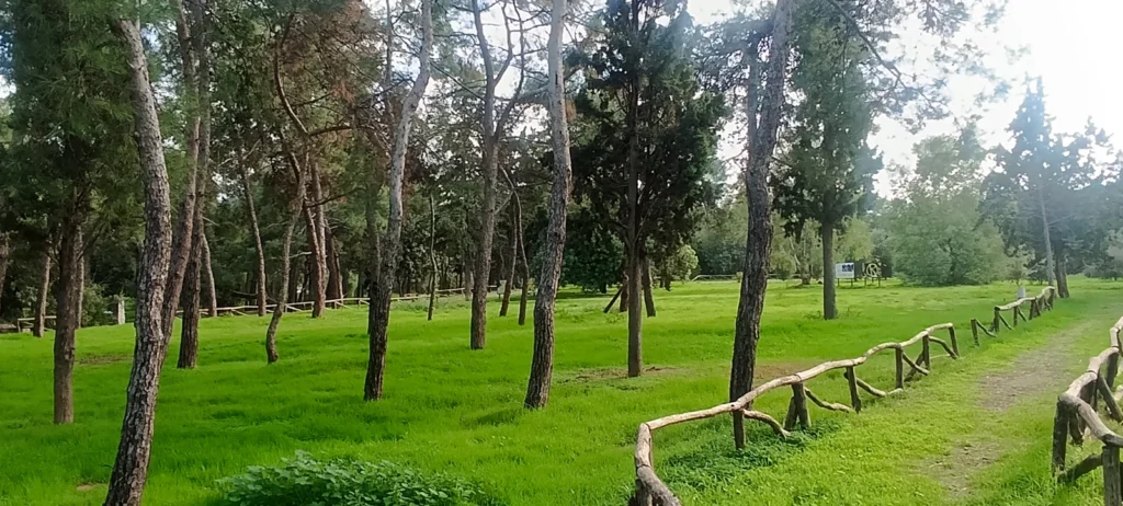Ścieżka i drewniana barierka wśród drzew w parku Nea Filadelfia.